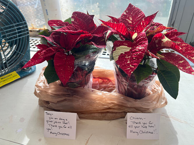 Thank you so much for the Poinsettias!  What a surprise!