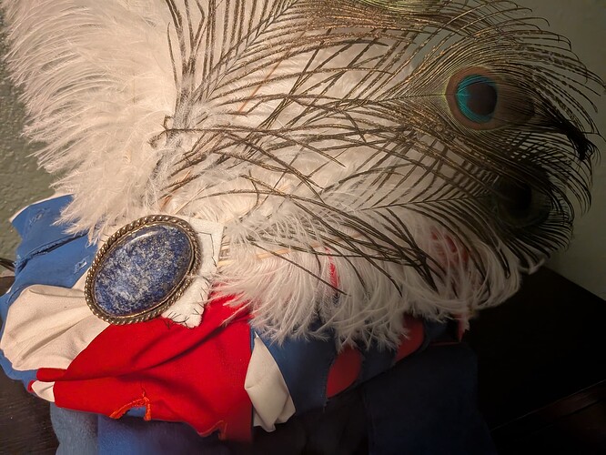 PXL_20250804_232250326.MP